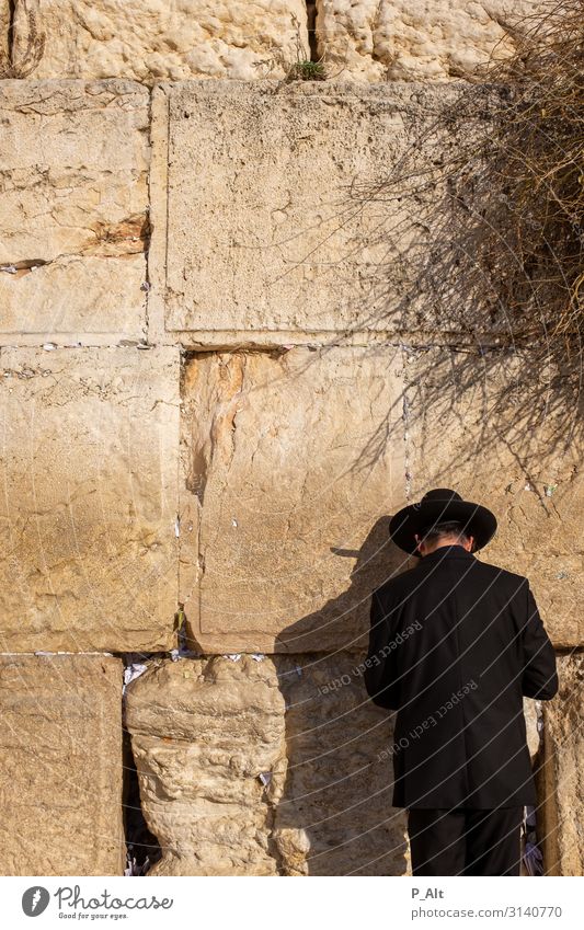 Klagemauer Kopf Rücken Mauer Wand Tugend Laster Toleranz vernünftig Religion & Glaube Judentum Hut Israel Jerusalem Farbfoto Außenaufnahme Tag