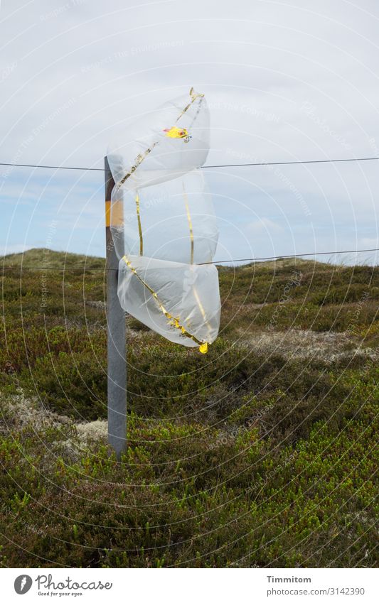 Praller Luftsack in der Dünenlandschaft Kunststoff Plastik Sack transparent Behälter gefüllt prall Pfosten Metall Draht Absperrung Landschaft grün Himmel blau