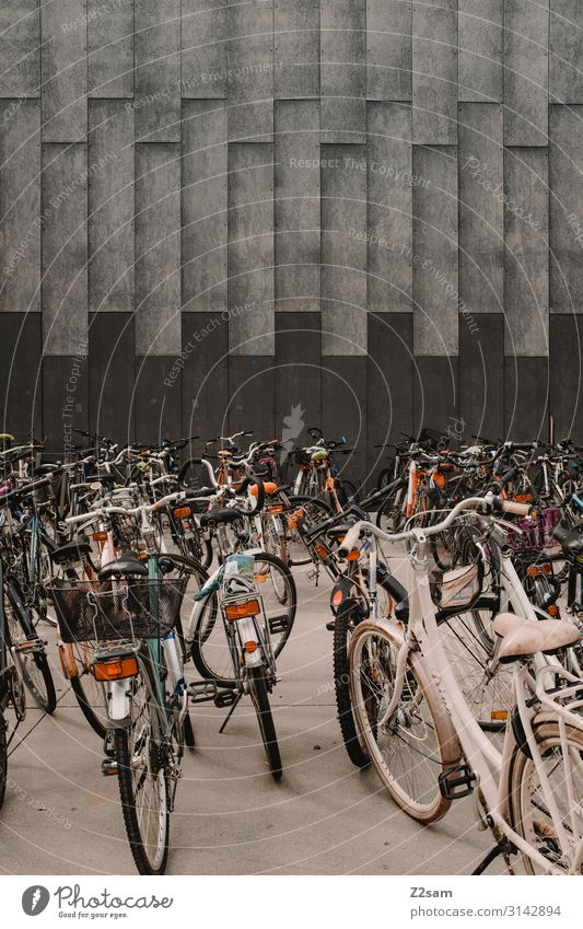 Radlparkplatz Sightseeing Fahrradfahren Stadt Stadtzentrum Architektur Verkehrsmittel stehen Gesundheit grau chaotisch Gesellschaft (Soziologie) gleich
