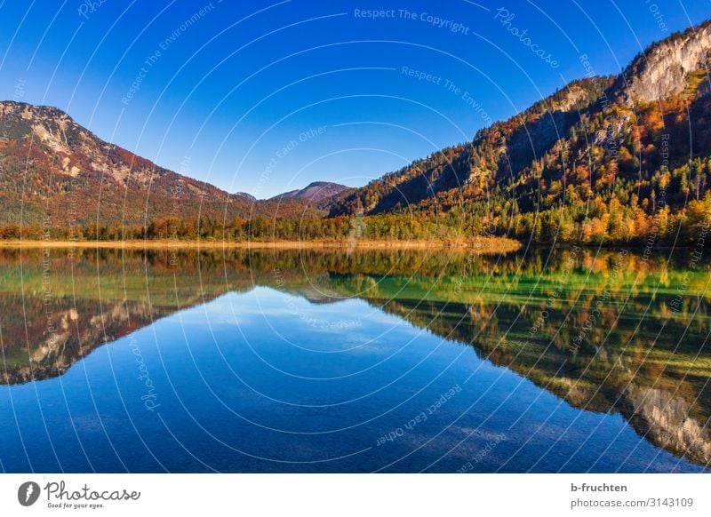 Spiegelung im See Berge u. Gebirge wandern Natur Landschaft Himmel Herbst Schönes Wetter Baum Blatt Wald Alpen Einsamkeit genießen Umwelt