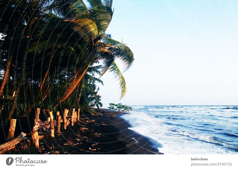 wild und ungezähmt Menschenleer Außenaufnahme Farbfoto unberührt Fernweh traumhaft schön Karibik tortuguero Costa Rica fantastisch außergewöhnlich Meer Strand
