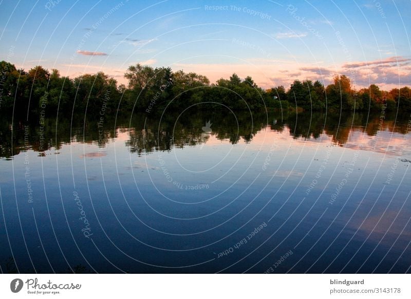 See und Bäume bei abendlichem Himmel. Refletion Spiegelung Wasser Binnengewässer Wald abendrot Reflexion & Spiegelung Natur Landschaft ruhig Menschenleer