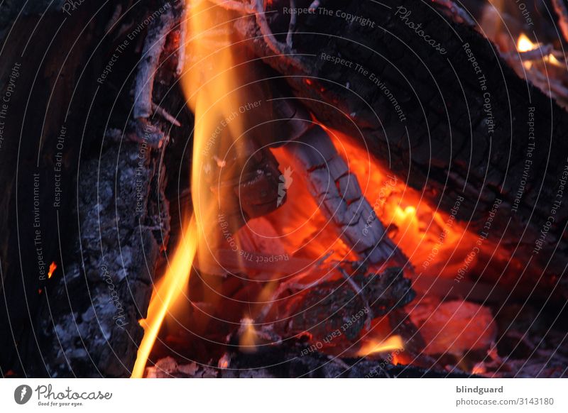 Die Heizperiode hat begonnen Urelemente Feuer Klimawandel schlechtes Wetter Eis Frost Kamin Grill Holz heiß gelb orange rot schwarz Erotik gemütlich Wärme