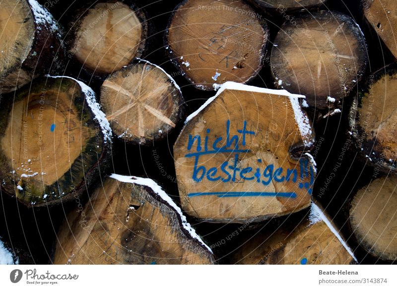 Geschriebenens l Waldvorschriften Arbeitsplatz Landwirtschaft Forstwirtschaft Baumstamm Holz Zeichen Schriftzeichen alt liegen dehydrieren warten ästhetisch