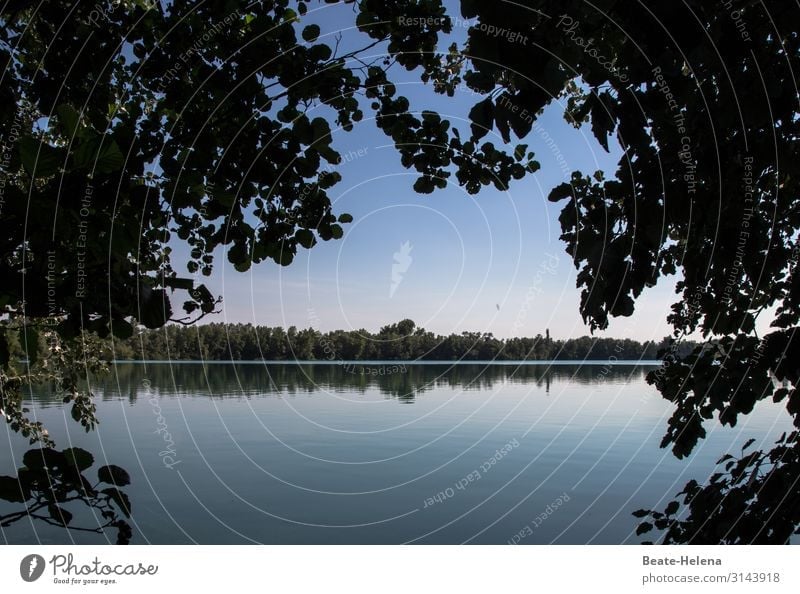 Abendruhe: Landschaftsspiegelung im Wasser Spiegelung Bäume Abendstimmung Meditation Ruhe Besinnlichkeit See Einkehr Symmetrie Reflexion & Spiegelung Idylle
