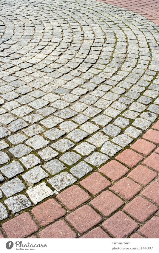 Ordnung... ja! Umwelt Nürnberg Stein Linie ästhetisch einfach grau rot Gefühle Platz Pflastersteine rund Farbfoto Außenaufnahme Menschenleer Tag