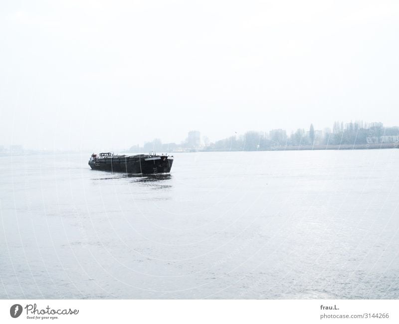 Schelde Ferien & Urlaub & Reisen Ausflug Fluss Winter Nebel Flussufer Antwerpen Belgien Hafenstadt Schifffahrt Binnenschifffahrt fahren Schwimmen & Baden