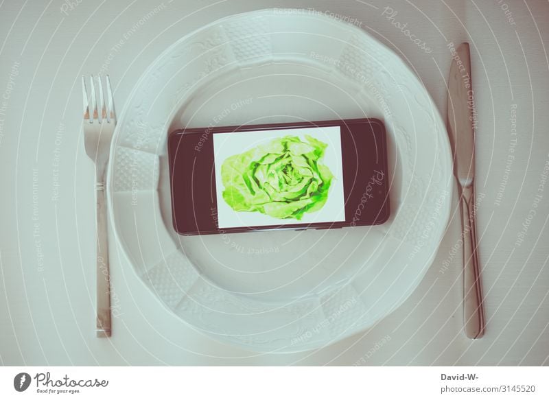 social-media & realität Lebensmittel Ernährung Essen Vegetarische Ernährung Diät Lifestyle kaufen Reichtum elegant Stil Design Freude Geld sparen schön