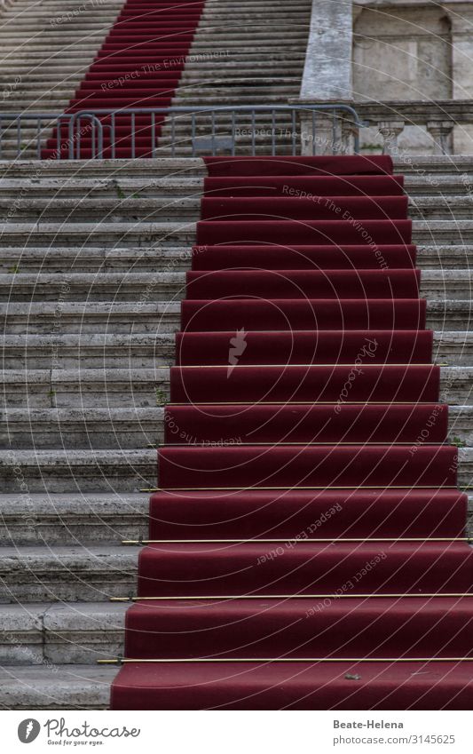 Roter Teppich: Aufstieg für VIPs Erfolg VIP-Bereich rot Treppe Farbfoto Außenaufnahme elegant Lifestyle Empfang Ehre Menschenleer Feste & Feiern Stil