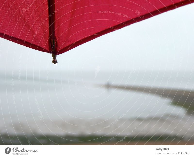 Novemberblues... Herbst Klima Wetter schlechtes Wetter Nebel Regen Küste Strand Meer Atlantik beobachten stehen Flüssigkeit nass rot Regenschirm Aussicht trüb