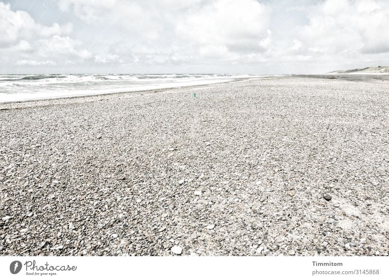 Wasser und Steine Ferien & Urlaub & Reisen Umwelt Natur Urelemente Sand Schönes Wetter Küste Strand Nordsee Dänemark gehen Blick ästhetisch hell natürlich blau