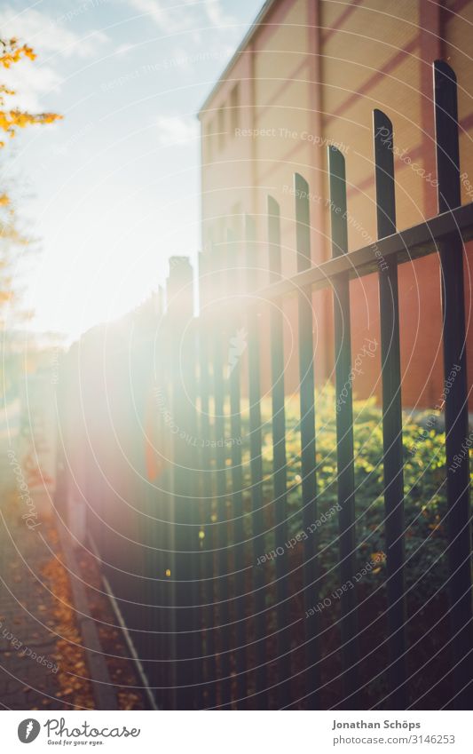 Metallzaun mit Gegenlicht im Herbst Abendsonne Achtsamkeit Außenaufnahme Besinnung Chemnitz Jahreszeit Laub Oktober Outdoor Ruhe Sonnenlicht Spaziergang Tag