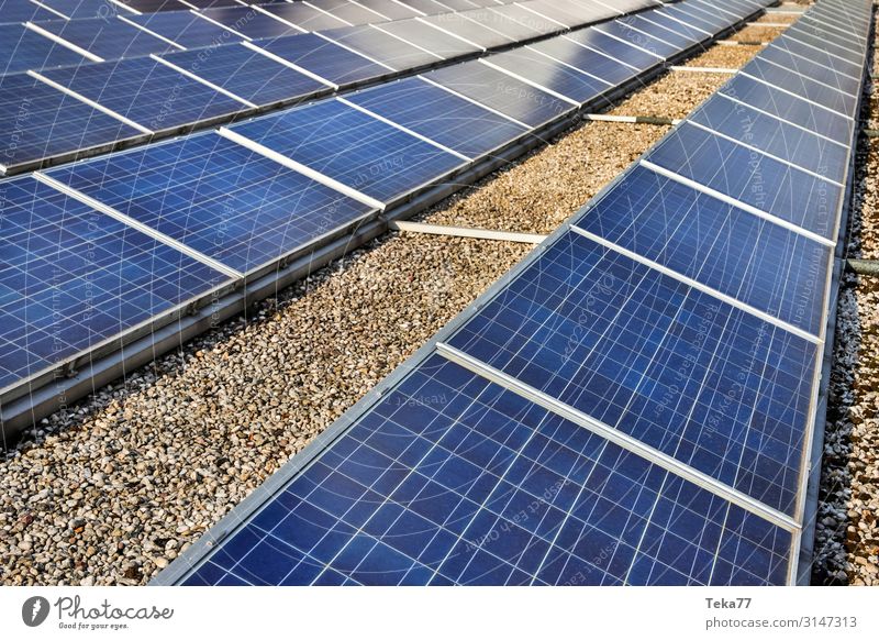 Solarzellen #1 Technik & Technologie Energiewirtschaft Erneuerbare Energie Sonnenenergie ästhetisch Zufriedenheit Farbfoto Außenaufnahme Tag
