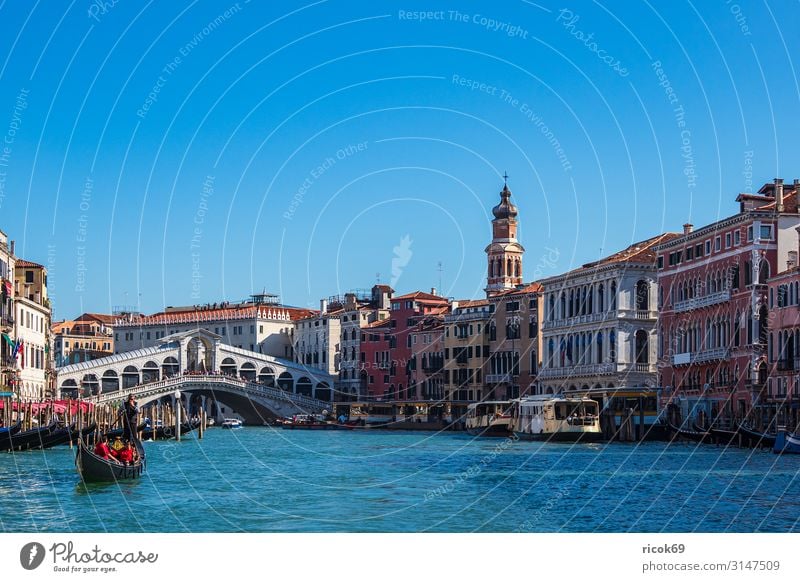 Blick auf die Rialto Brücke in Venedig, Italien Erholung Ferien & Urlaub & Reisen Tourismus Haus Wasser Wolken Stadt Altstadt Turm Bauwerk Gebäude Architektur