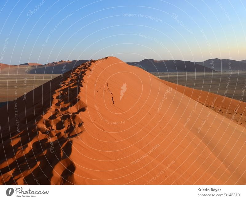 Wüstendüne in der Morgensonne Ferien & Urlaub & Reisen Ferne Expedition wandern Natur Landschaft Erde Sand Wolkenloser Himmel Hügel Gipfel Namib entdecken