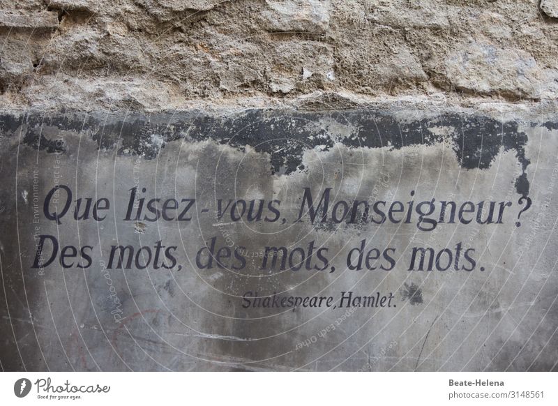 Nichts als Wörter - Aufschrift am Ufer der Loire Kaimauer Motschweiher Hamlet Shakespeare Lesen Steine gemauert lesen Bildung Buch Wissen Literatur Lesestoff