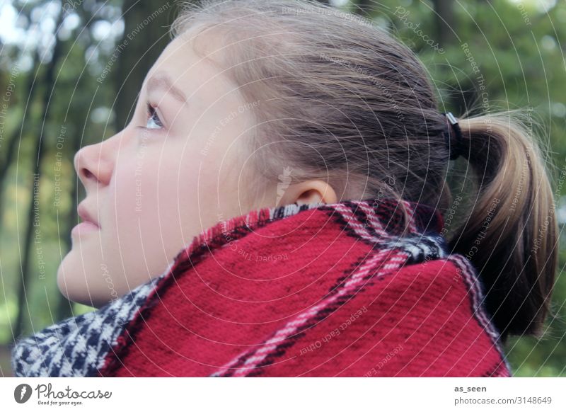 Der Herbst kommt Mädchen Junge Frau Jugendliche Leben Gesicht 1 Mensch 13-18 Jahre Natur Klima Wetter Regen Baum Park Mode Schal Blick authentisch blond