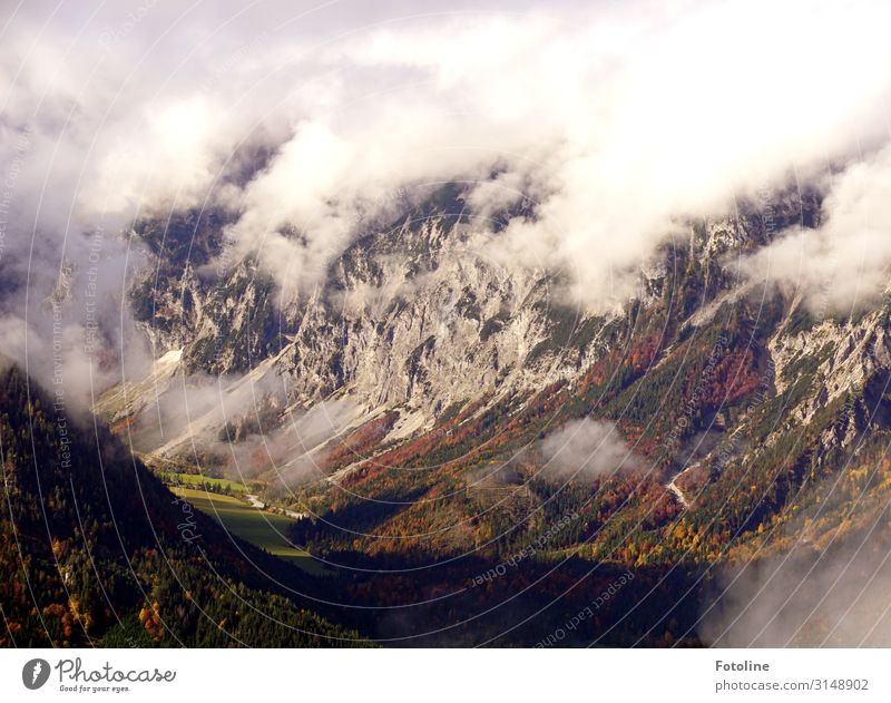 Das Tal Umwelt Natur Landschaft Pflanze Urelemente Luft Wolken Herbst Felsen Berge u. Gebirge Ferne gigantisch hoch natürlich braun grün weiß Österreich