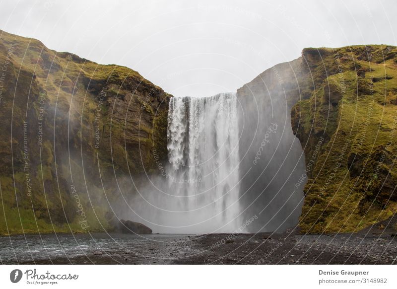 Waterfall in Iceland in cloudy weather Ferien & Urlaub & Reisen Sommer Natur Wasser Wasserfall Begeisterung Kraft beautiful Island waterfall sky landscape