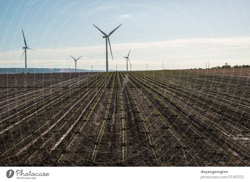 Windgenerator in landwirtschaftlichen Flächen. Sommer Industrie Technik & Technologie Umwelt Natur Landschaft Erde Himmel Wolken nachhaltig blau Energie Turbine