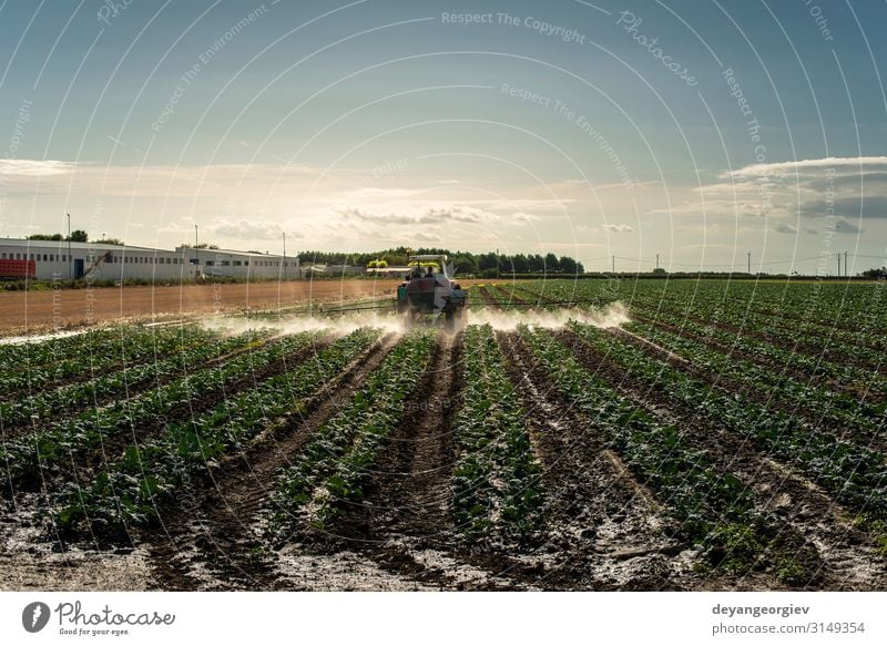 Ein landwirtschaftlicher Traktor besprüht Pflanzen mit Chemikalien. Industrie Maschine Natur Landschaft Wiese Wachstum grün Pestizide isprayer Nektizid Fungizid