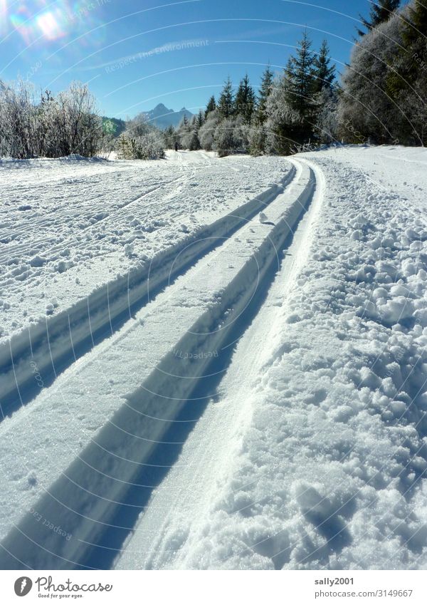 die Loipe ist präpariert... Sport Wintersport Skifahren Skilanglauf Schönes Wetter Schnee Wald Alpen Erholung eckig frei kalt Abenteuer anstrengen Einsamkeit