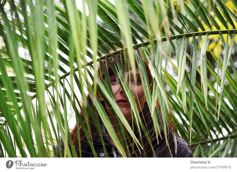 Im Dschungel | UT HH19 Mensch feminin Frau Erwachsene 30-45 Jahre Natur Pflanze Grünpflanze Wildpflanze exotisch Palmenwedel brünett beobachten entdecken