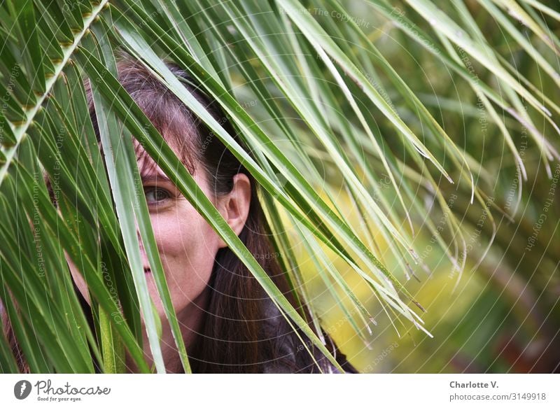 Hervorlugen | UT HH19 Expedition Flirten Mensch feminin Frau Erwachsene Leben 30-45 Jahre Natur Tier Pflanze Grünpflanze Wildpflanze exotisch Palme Palmenwedel