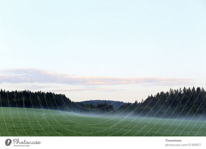 Ein früher und kühler Morgen Himmel blau Wolken rosa Hügel Bäume Wald Schwarzwald Nebel Dunst Wiese Gras grün Natur Landschaft Menschenleer Schönes Wetter