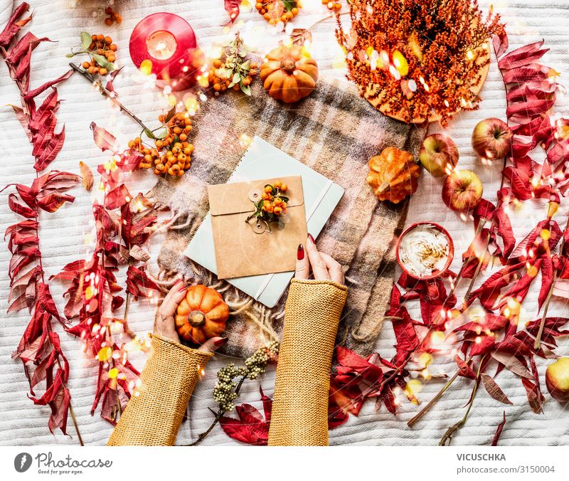 Frauenhände mit Kürbis- und Briefumschlag Kaffee Lifestyle Stil Design Häusliches Leben feminin Erwachsene Hand Herbst Blatt Pullover Schal Verpackung