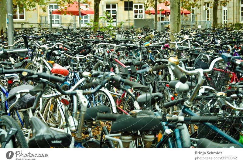 Unmengen von Fahrrädern am Göttinger Bahnhof Lifestyle Freude Gesundheit sportlich Fahrradfahren Maschine Technik & Technologie Erneuerbare Energie Energiekrise