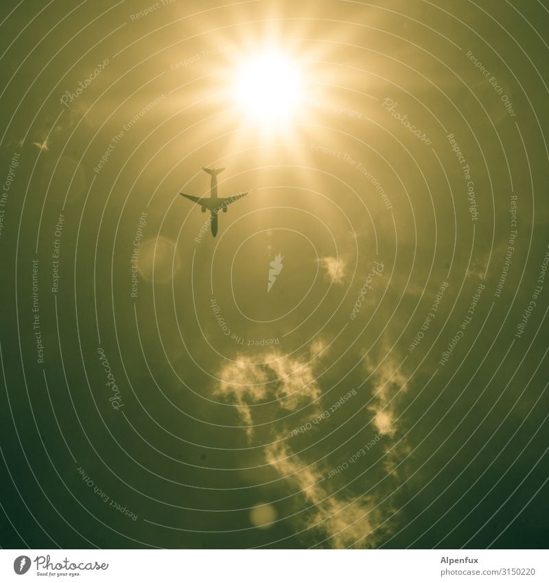 Ikarus Luftverkehr Flugzeug Passagierflugzeug fliegen Angst Höhenangst Flugangst Zukunftsangst Endzeitstimmung Energie Ferien & Urlaub & Reisen Freiheit
