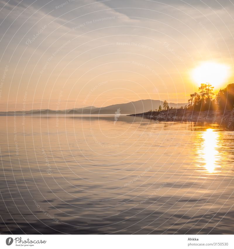 Abendstimmung an einem skandinavischen See Sonne Gegenlicht Sonnenuntergang Sommer warm Menschenleer Natur wild weite Landschaft ruhig Wasser Idylle ufer