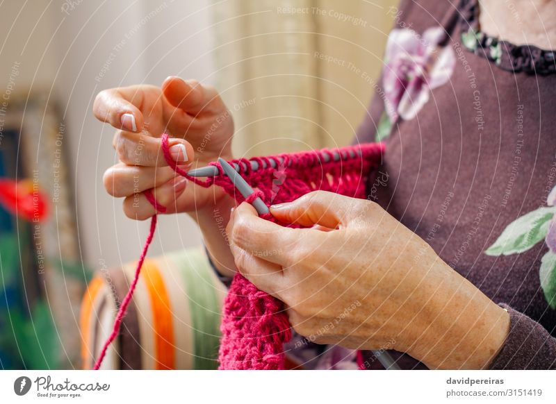 Hände einer Frau, die einen Wollpullover strickt Design Erholung Freizeit & Hobby Basteln Handarbeit stricken Wohnzimmer Arbeit & Erwerbstätigkeit Handwerk