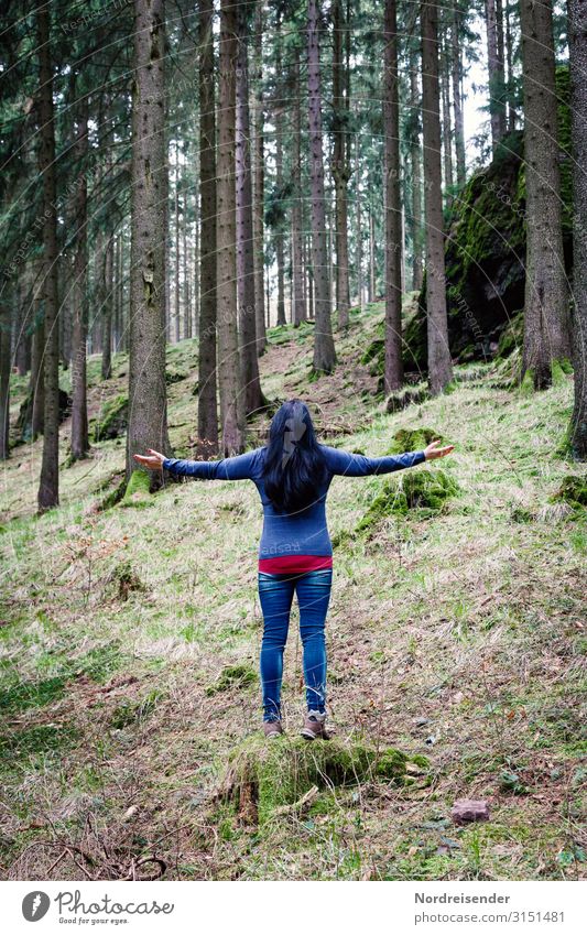 Guten Morgen Wald Wellness Leben harmonisch Wohlgefühl Sinnesorgane Erholung ruhig Meditation Ausflug Camping Yoga Mensch feminin Junger Mann Jugendliche Frau