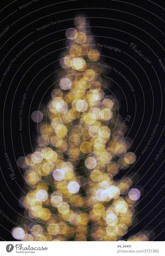 Christbaum Feste & Feiern Weihnachten & Advent Silvester u. Neujahr Winter Baum Tanne Fichte Weihnachtsbaum leuchten ästhetisch glänzend groß modern gelb gold