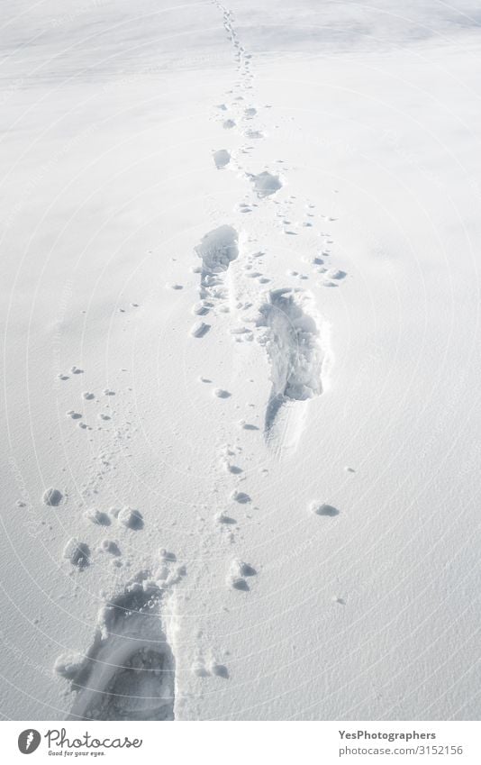 Schritte im Schnee. Fußweg durch den Schnee. Winterlandschaft Abenteuer wandern Natur Klimawandel Wetter Schönes Wetter Fährte Fußspur hell weiß Einsamkeit