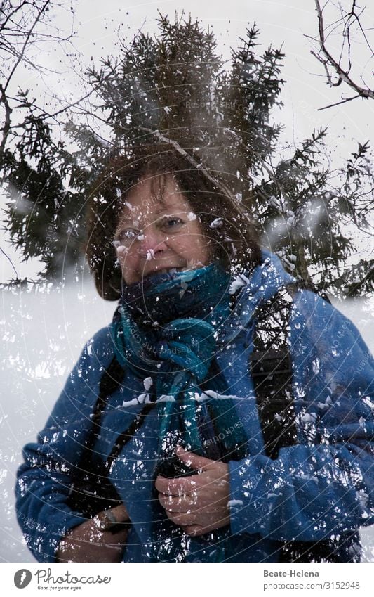 Winterträume (1) Gesundheitswesen Ausflug wandern Sport Fitness Sport-Training Frau Erwachsene Schönes Wetter Baum Schwarzwald Jacke atmen beobachten Bewegung