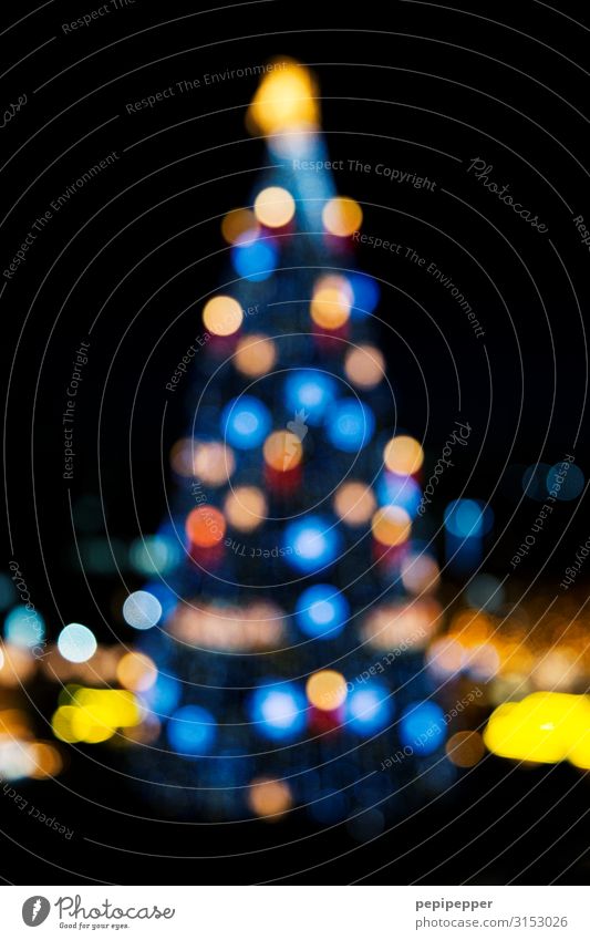 XXL X-mas-Baum Weihnachten & Advent Nachthimmel Stern Winter Dortmund Sehenswürdigkeit Wahrzeichen Ornament Kugel leuchten mehrfarbig Tanne Weihnachtsbaum