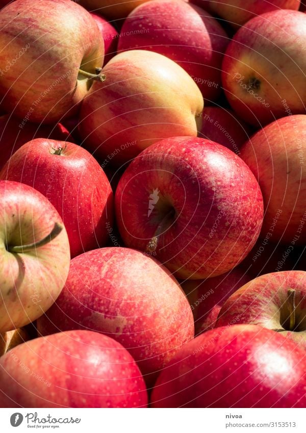 mehrere rote Äpfel Lebensmittel Apfel Ernährung Essen Frühstück Mittagessen Bioprodukte Vegetarische Ernährung Diät Fasten Slowfood trinken Erfrischungsgetränk