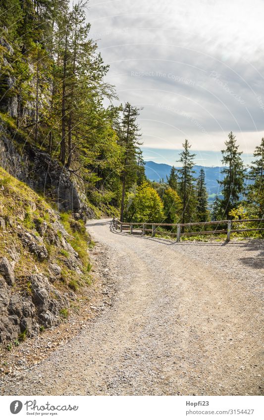 Wanderweg in den Alpen Natur Landschaft Pflanze Himmel Wolken Herbst Schönes Wetter Baum Felsen Berge u. Gebirge Gipfel Diät Erholung Fitness laufen wandern