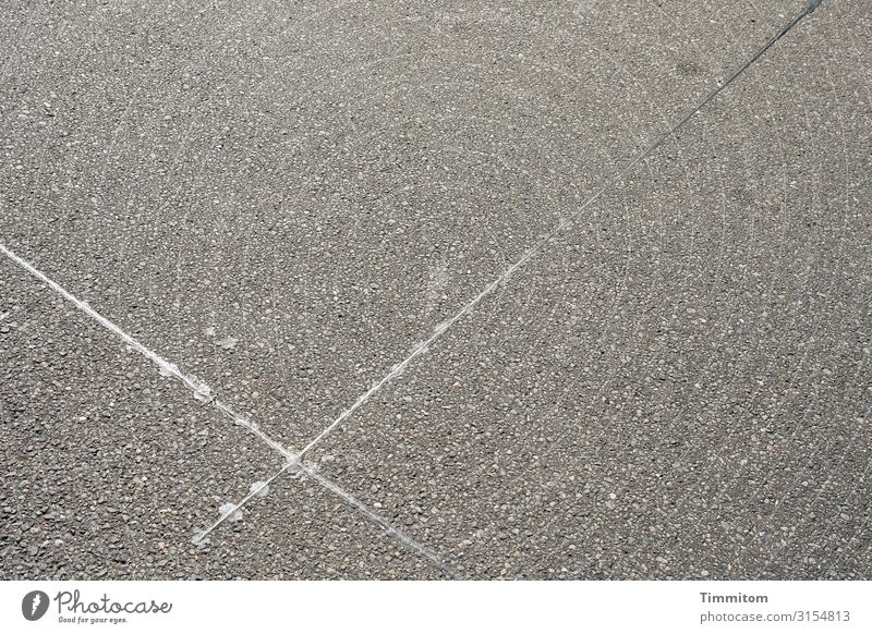 X auf Straße Verkehr Beton Schriftzeichen Linie x ästhetisch einfach grau schwarz Gefühle Platz Asphalt Fuge Farbfoto Außenaufnahme Tag