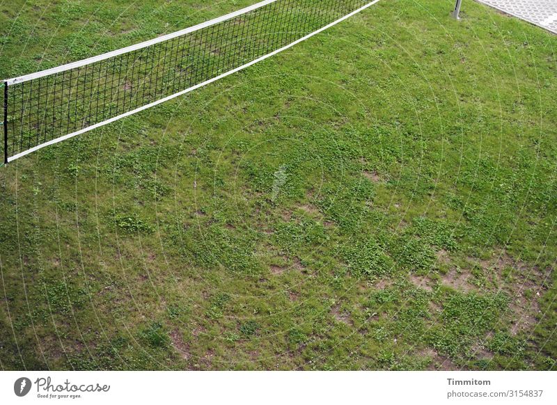 Und noch ein Netz Sport Gras grün Ecke Pflasterung Pfosten menschenleer Spielen Freizeit & Hobby Ballsport Sportstätten