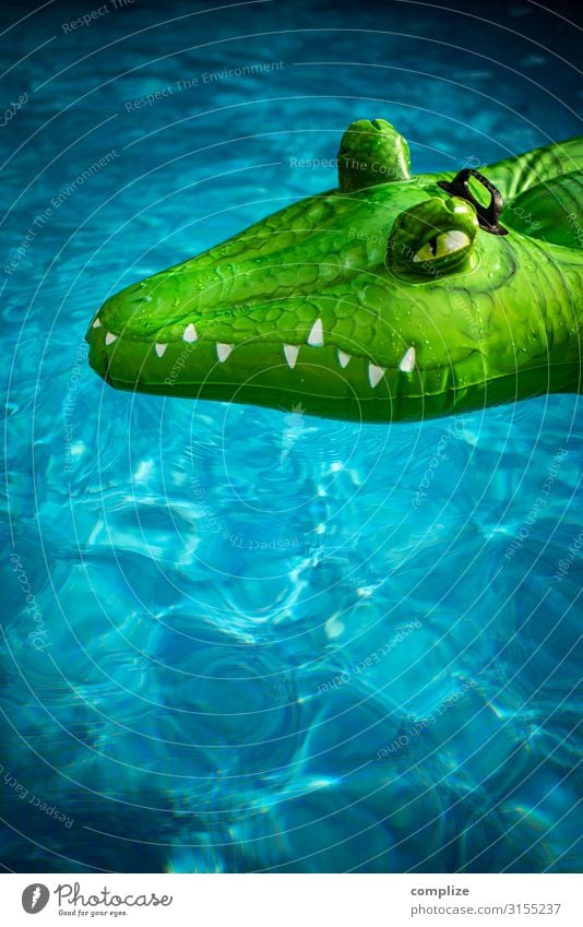 Aufblasbares Krokodil im Pool Freude Gesundheit Schwimmbad Schwimmen & Baden Ferien & Urlaub & Reisen Tourismus Expedition Sommer Sommerurlaub Sonne Sonnenbad