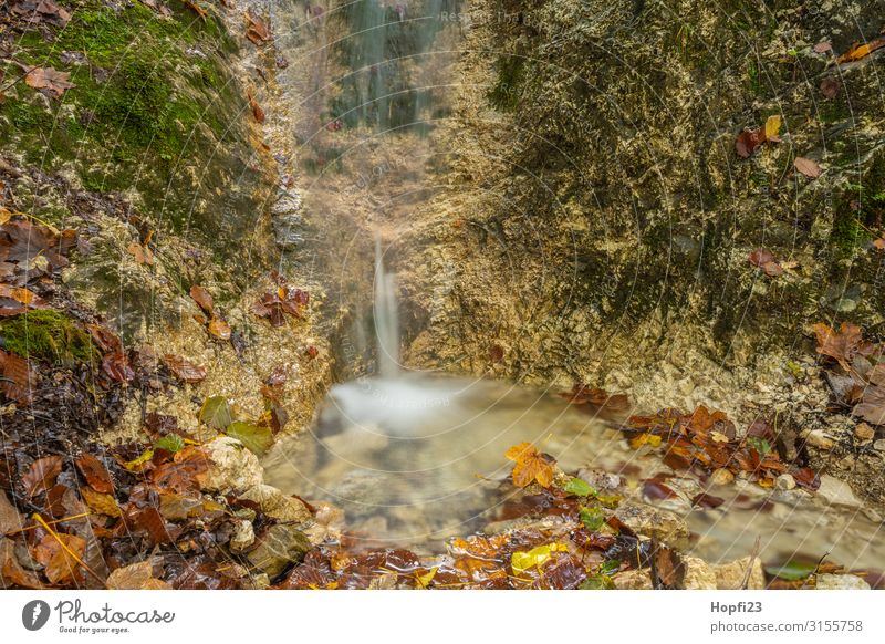 Kleiner Wasserfall bei Berchtesgaden Umwelt Natur Landschaft Herbst Schönes Wetter Moos Blatt Alpen Berge u. Gebirge Fluss Fitness gehen laufen rennen Blick