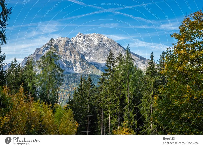 Alpen im Berchtesgadener Land Umwelt Natur Landschaft Pflanze Himmel Herbst Schönes Wetter Baum Wald Felsen Berge u. Gebirge Gipfel Diät Fitness gehen laufen