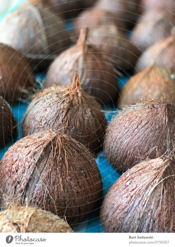 Leere Kokosnussschalen Frucht Öl Bioprodukte Vegetarische Ernährung Saft Haut Gesundheitswesen Mittelstand Natur Container Erdöl Diät natürlich braun
