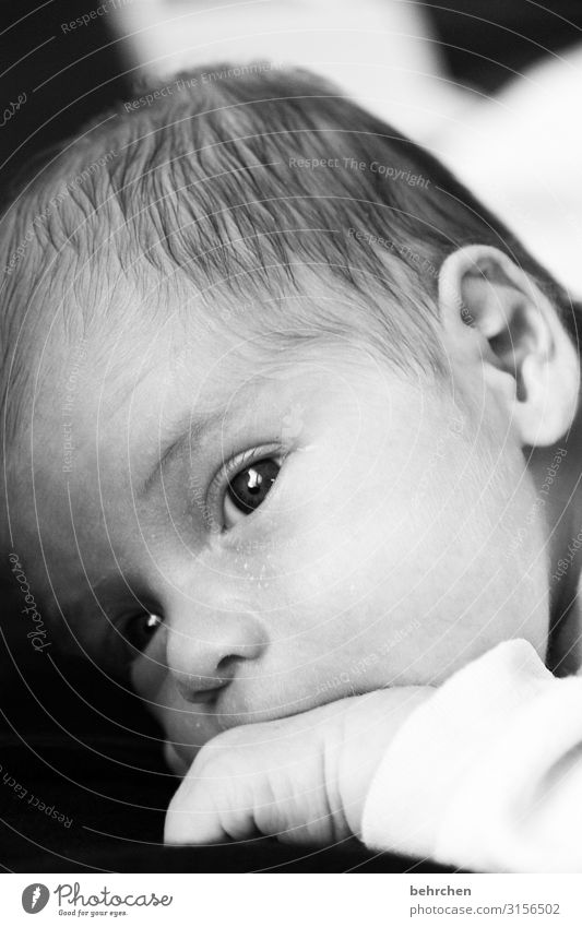 . Baby Junge Mutter Erwachsene Vater Familie & Verwandtschaft Kindheit Haut Kopf Haare & Frisuren Gesicht Auge Ohr Nase 0-12 Monate Vertrauen Schutz