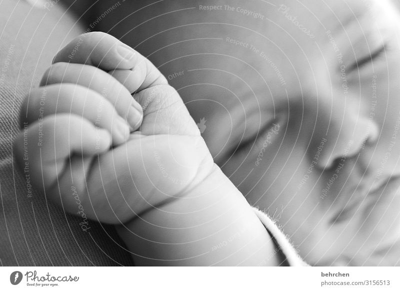 vollkommen Baby Junge Familie & Verwandtschaft Kindheit Haut Gesicht Auge Nase Mund Lippen Hand Finger 0-12 Monate schlafen Glück Zufriedenheit Schutz