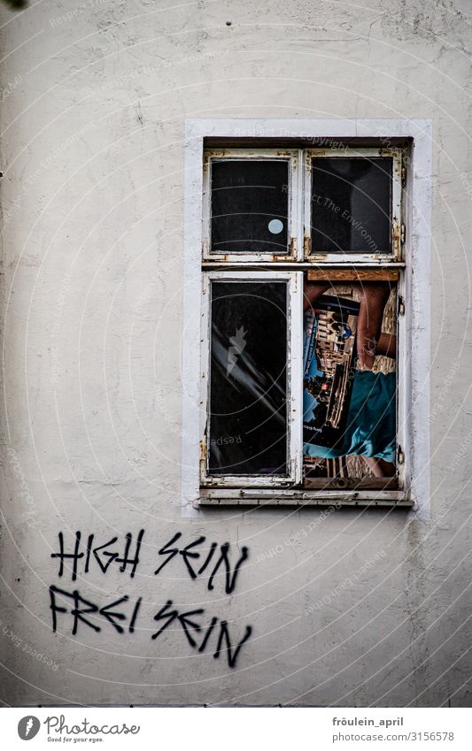 High ist frei | UT HH19 Freude Glück Rauschmittel Wohnung Stadt Haus Bauwerk Gebäude Mauer Wand Fenster Schriftzeichen Graffiti entdecken Erholung fliegen